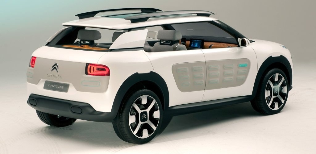 Citroen cactus